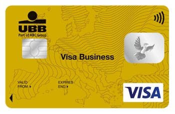 VISA Business Gold Contactles Card