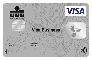 VISA Business Contactless Card